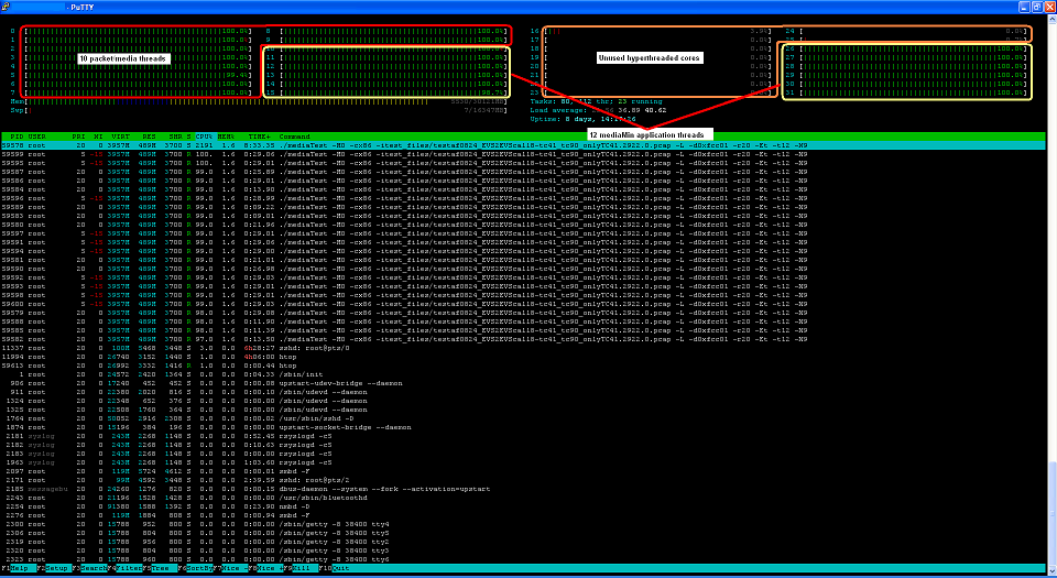 DeepLI™ htop display showing high capacity packet/media processing, 504 concurrent sessions